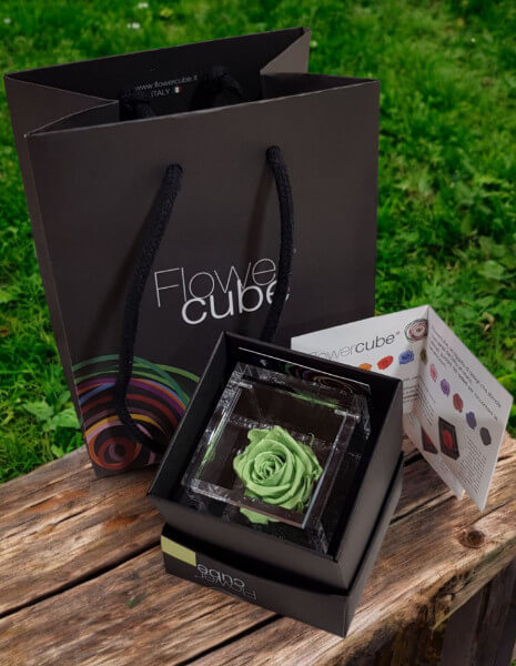 Flowercube Verde cubo 6x6 cm.